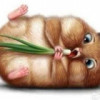 二细