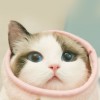 姚明不是姚明