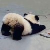 Uzi精彩对局