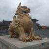 绘锦鲤