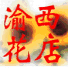 帅晨狗头