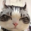 新颖、钟躲