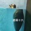 虹猫蓝兔官方