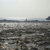 south南方南