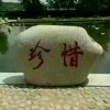 蓝天-小复