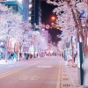AzZ丶吖吖【Happy吖】