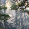 集梦阿龙【ZKL】