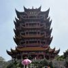 小九睡不着💤（助眠）