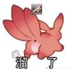 壹点-果大大