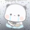 星星不睡觉