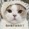4AM小鹿