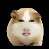Minana呀