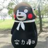 鱼香肉丝（不做菜版）
