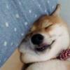 春风十里听雨眠