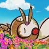 asmr助眠分享