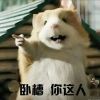 小遥助眠管家