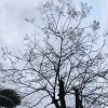 芊芊穗（护肤版）抽奖不断