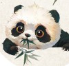 小安月丶
