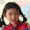 淡奶油段步甲