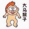 广东小奕熙