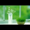 邱时一（装修ing）
