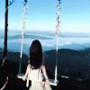 萌主吖l
