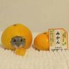 夏盈丶