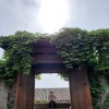 活跃红