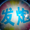 肉球球11