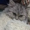 雨声助眠管家