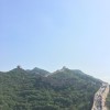 红小豆本豆