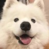 。共创。