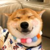 宋一帆