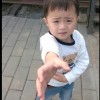 元文文