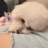 楚楚Eva
