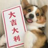 宝哥纪实