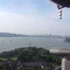 崽崽二次元
