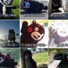 聊总影视