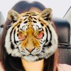 聆听宫斗剧原声助眠