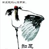 喵喵@时光