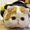 四目大王
