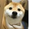 稳坦