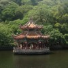花火电台