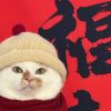 一只七.