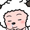 小猪bae