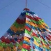 宥家推文《请不要连赞》