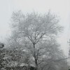 Yuki雪雪