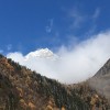 冰激淋红茶-33