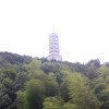 全国第一职业选手