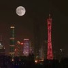 小千岁